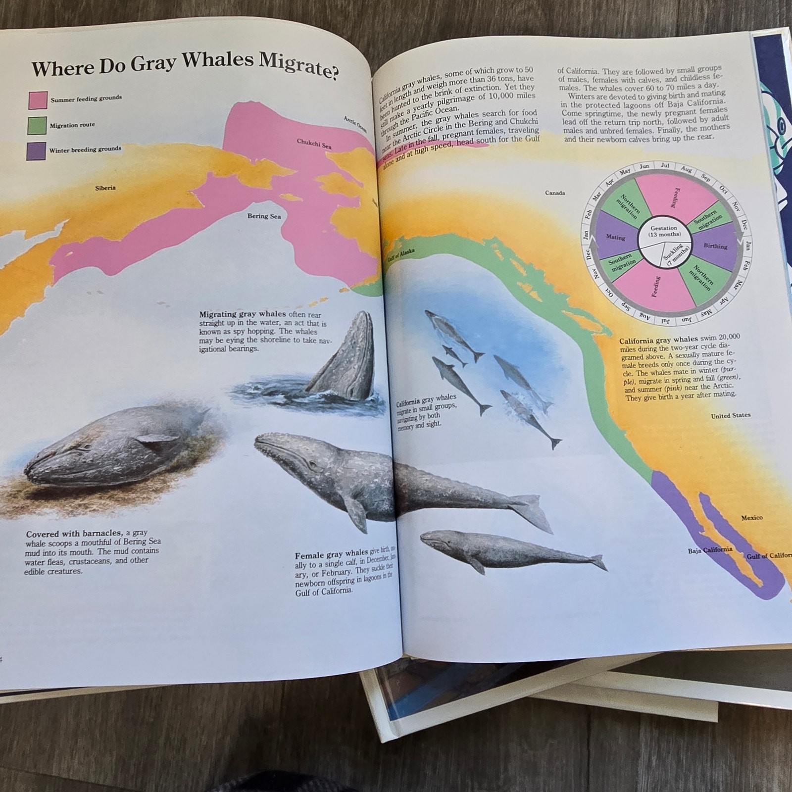 Time Life Understanding Science and Nature 15 Book Lot Vintage Education