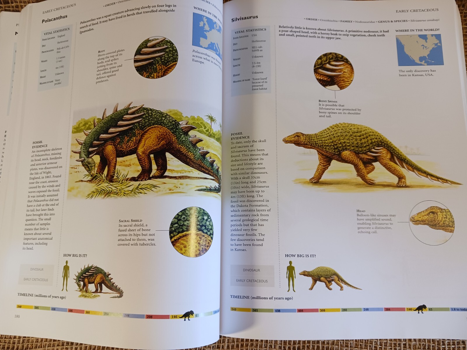 dinosaurs and other prehistoric animals by amber