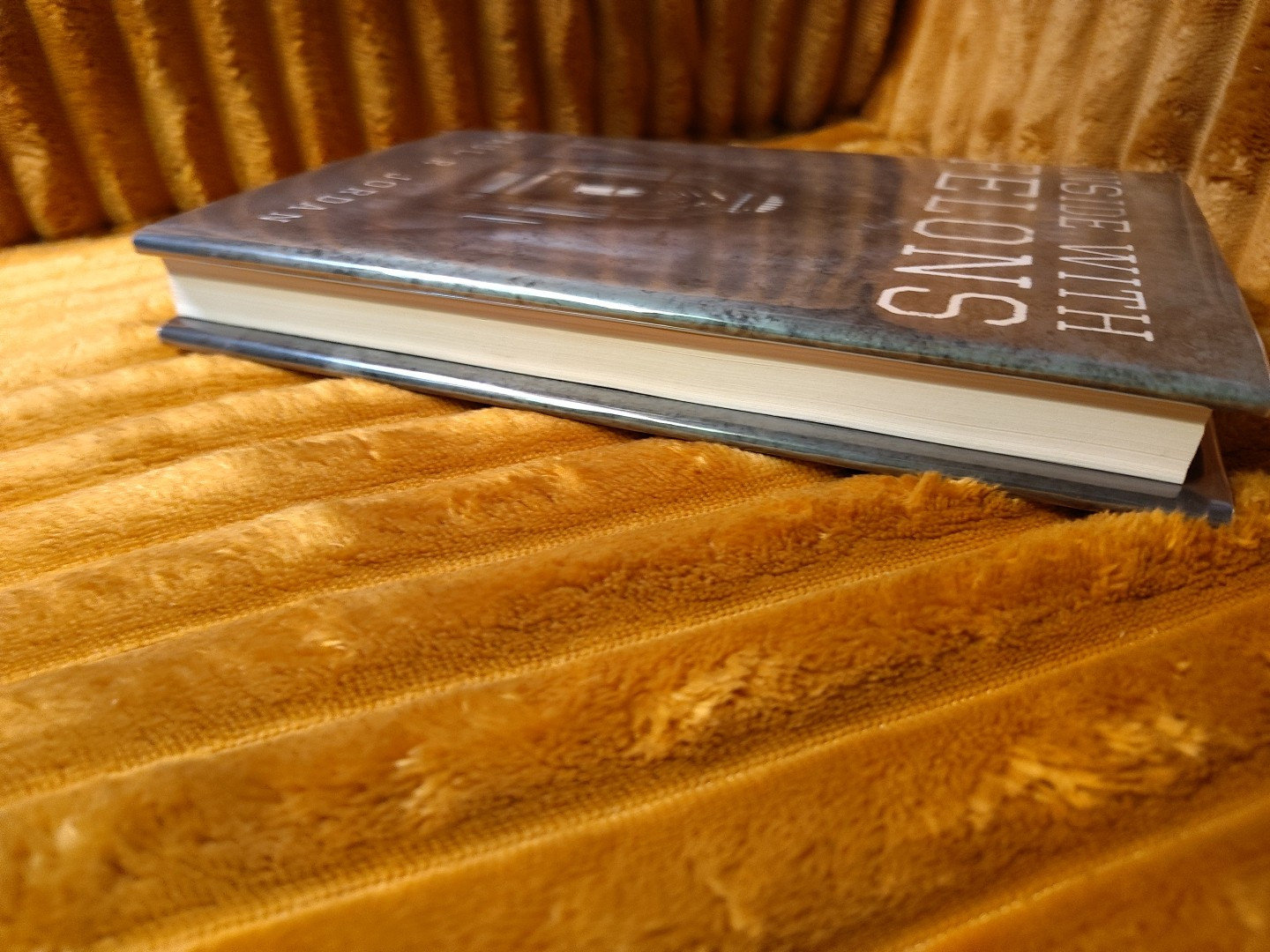 Inside With Felons By Paul R Jordan