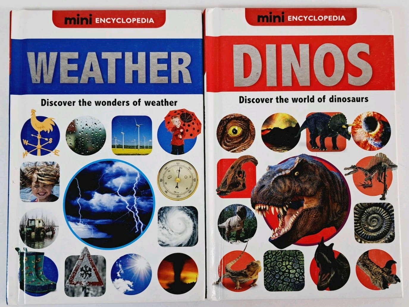 Dinos & Weather (Mini Encyclopedias) – Hardcover By Phillips, Sarah – GOOD