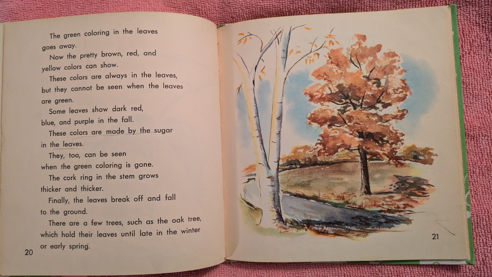 Gene Darby, WHAT IS A TREE (The What Is It Series) 1957, Ex-Library, HB, Child