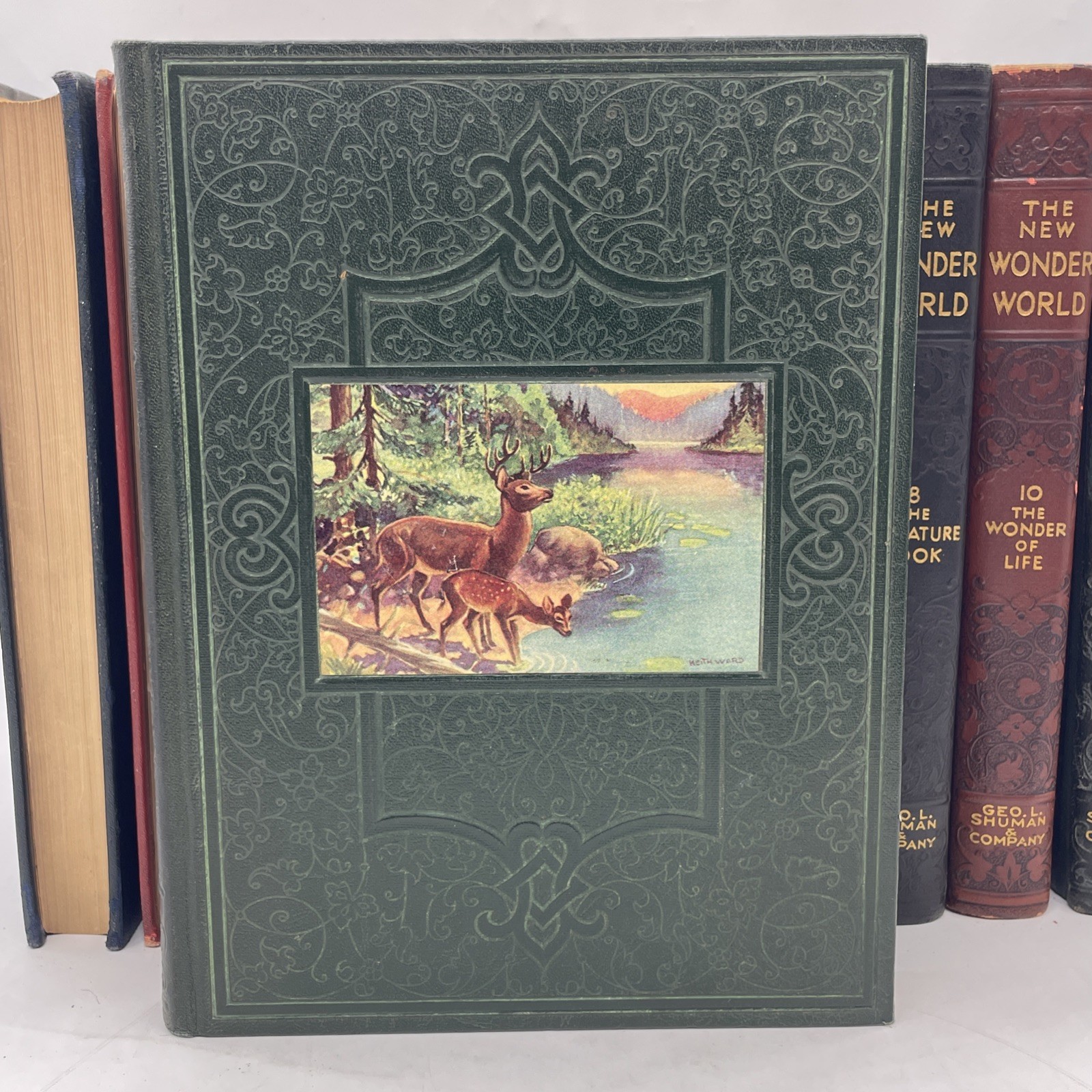 The New Wonder World Vol. 1-8 10&11 Set Geo. L. Shuman & Company Books