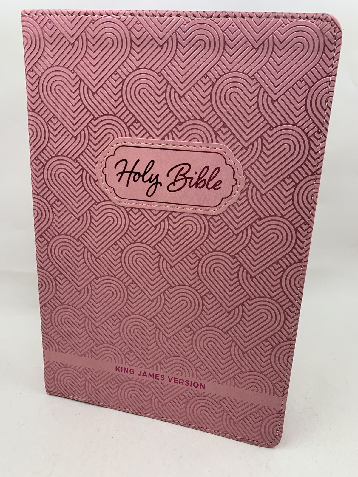 KJV Kids Bible, large print 40 Pages Full Color Study Helps, Presentation index