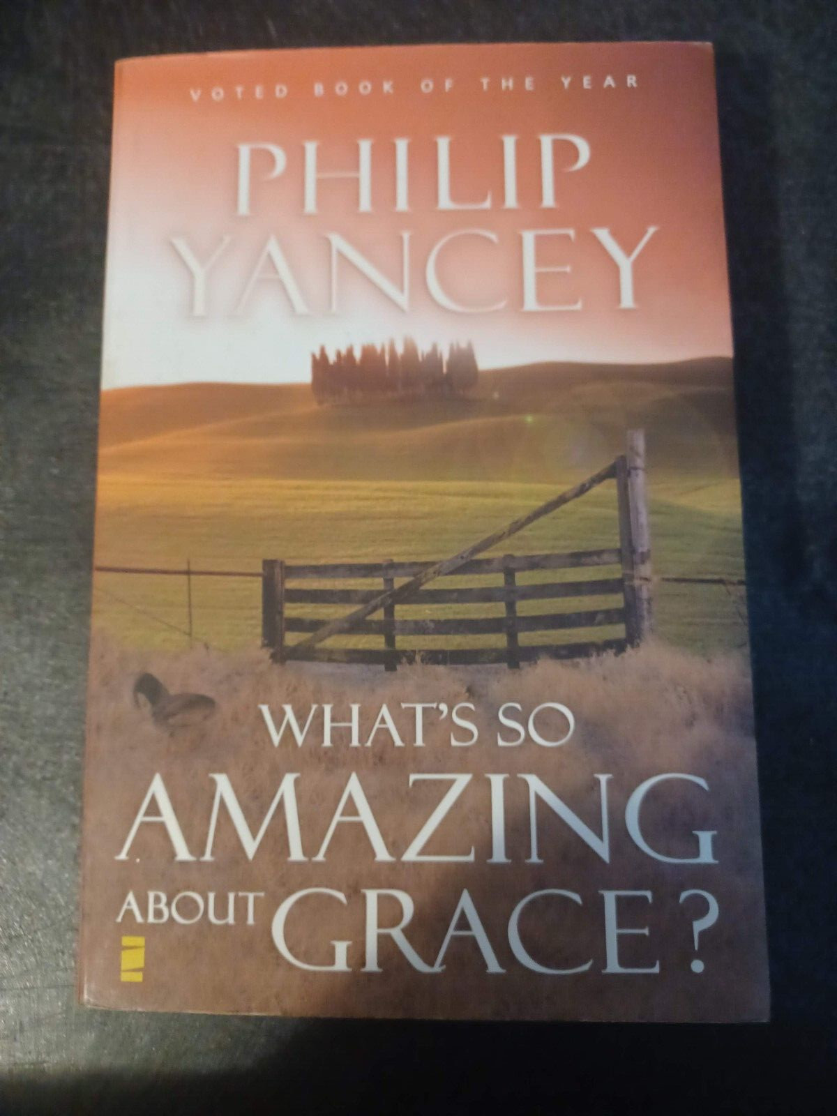 What’s So Amazing About Grace? Study Guide – Paperback By Phillip Yancey – GOOD