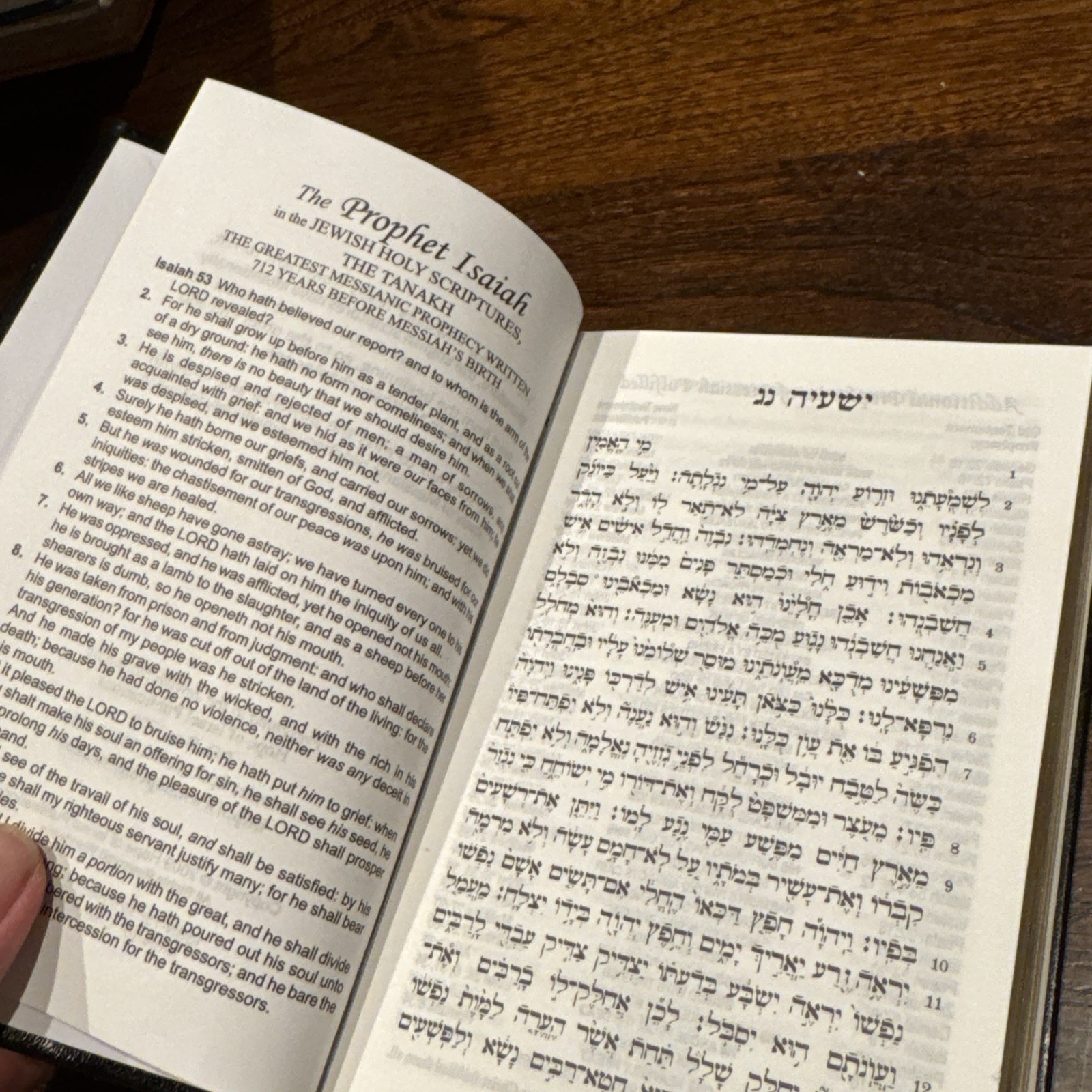 Hebrew-English New Covenant Prophecy Edition (Hope of Israel, 2009) Hardcover