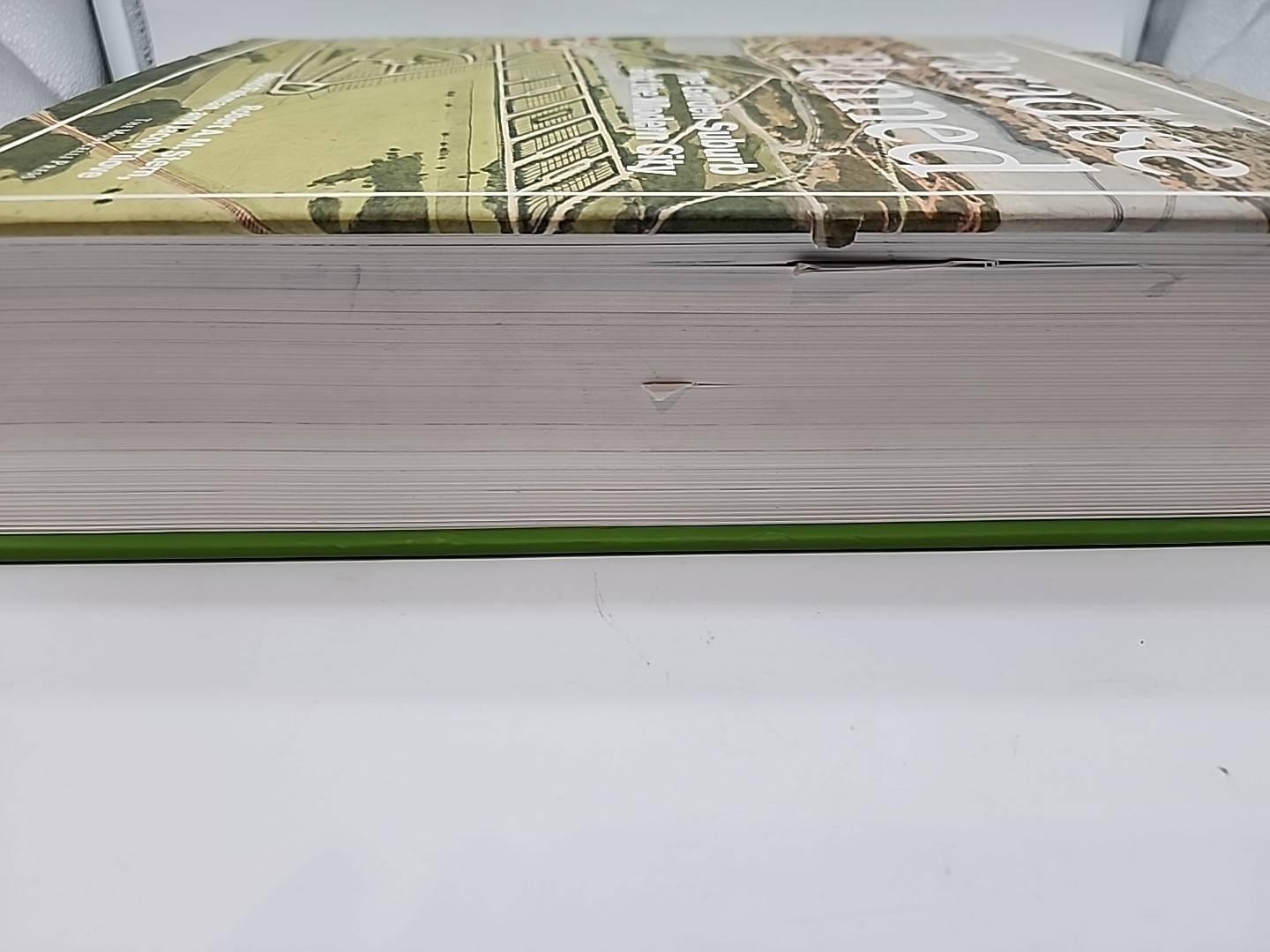 Paradise Planned: The Garden Suburb and the Modern City – 1st Edition
