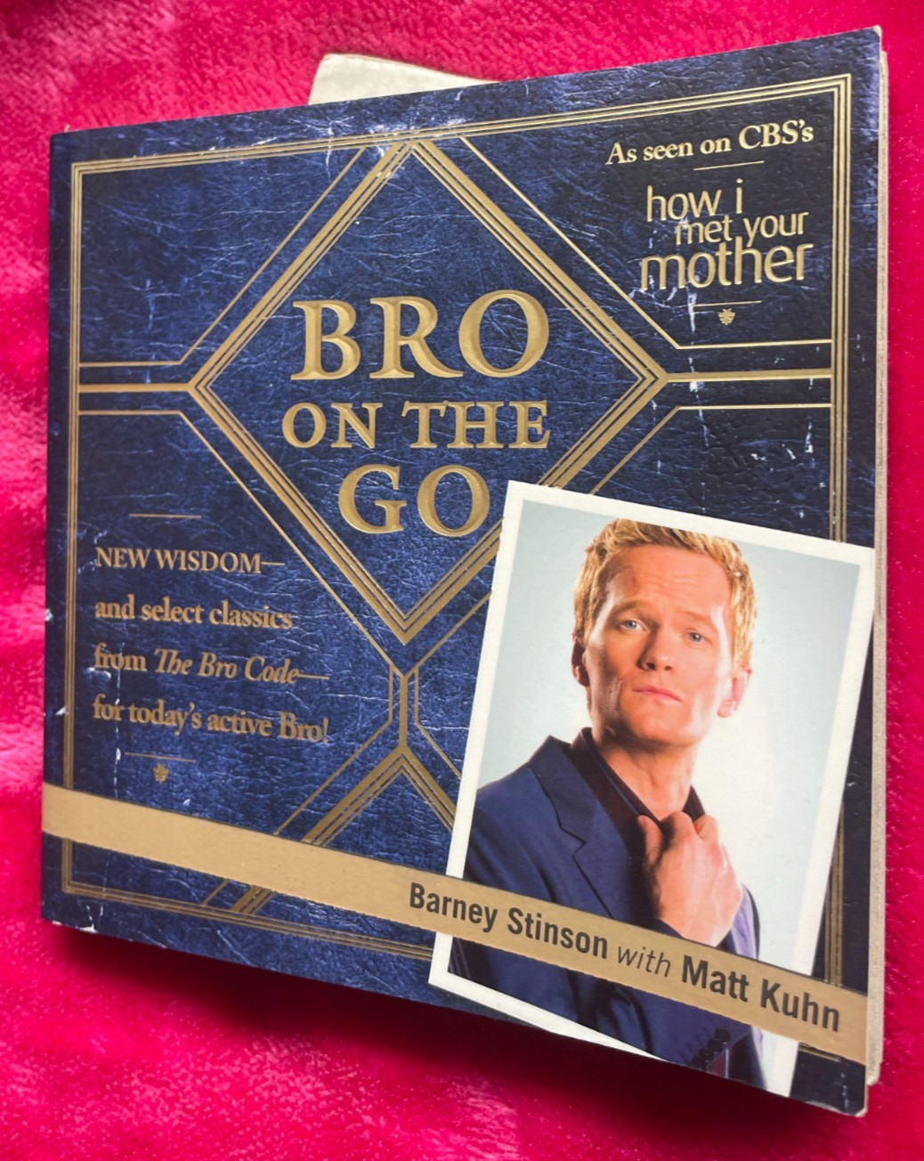 BRO ON THE GO. BARNEY STINSON, MATT KUHN. 14 BY 14CM. PAPERBACK. 2009