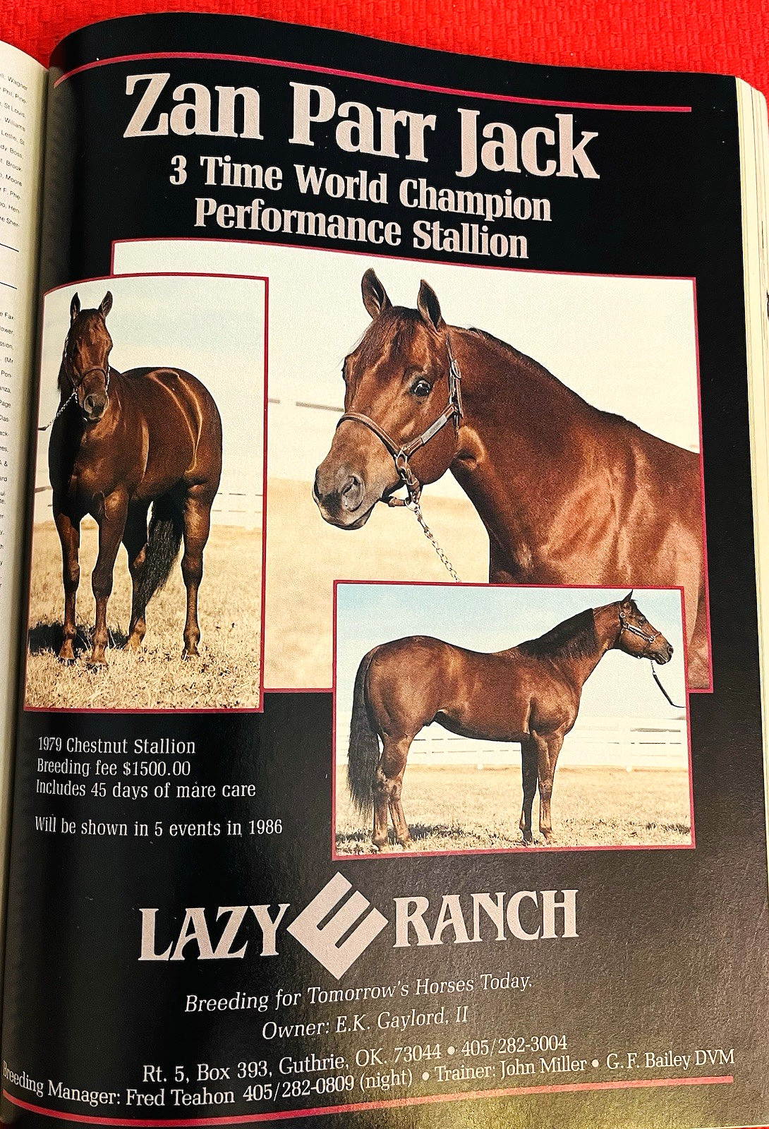 SALE ENDS 6/15! 1986 QUARTER HORSE JOURNAL Book – DYNAMIC DELUXE, ZAN PARR BAR