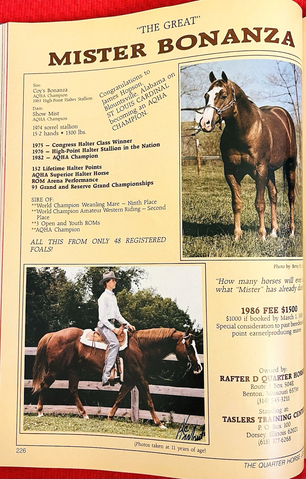 SALE ENDS 6/15! 1986 QUARTER HORSE JOURNAL Book – DYNAMIC DELUXE, ZAN PARR BAR
