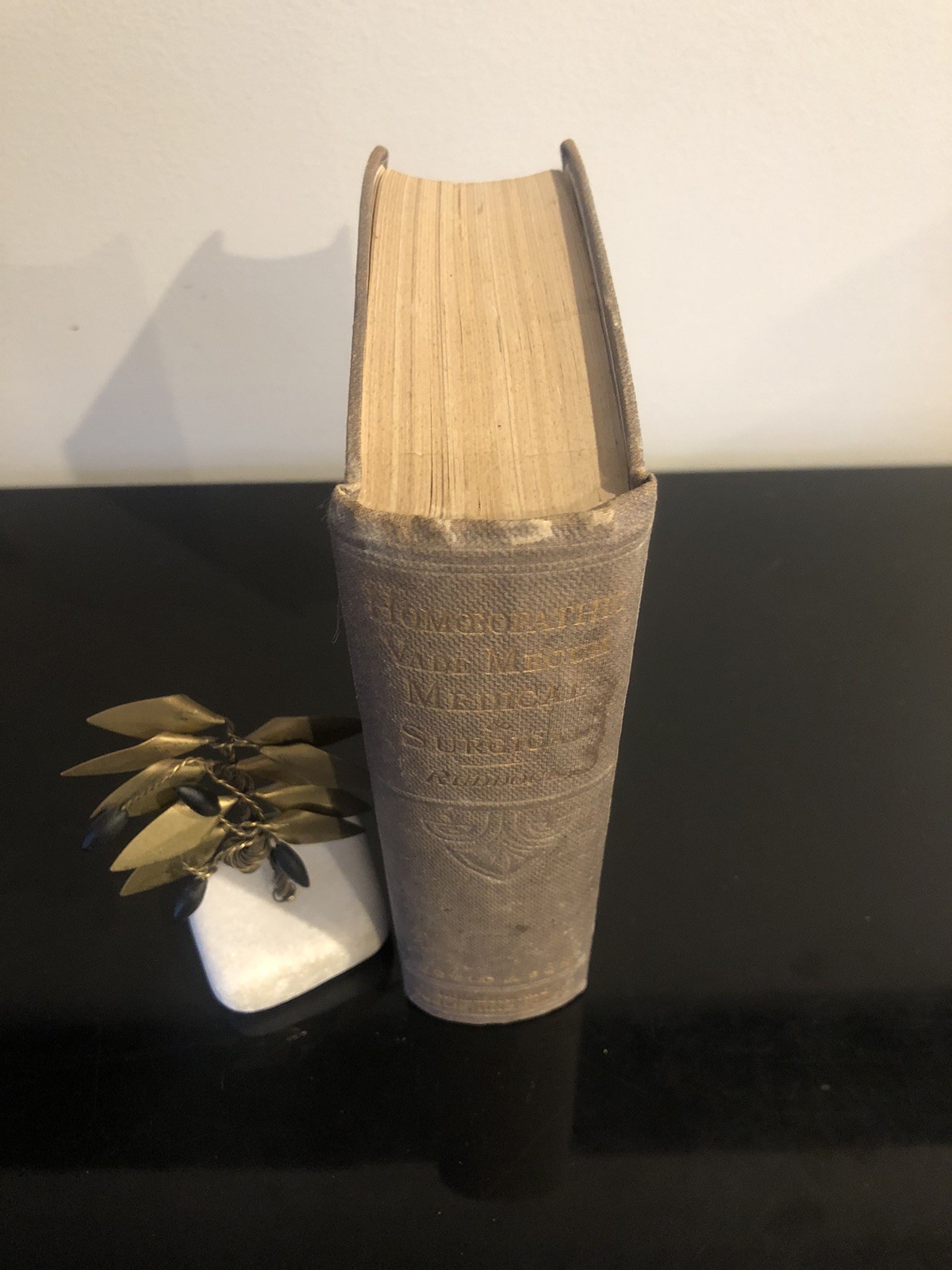 Homoeopathic Vade Mecum H Ruddock Gould&Son 8th Edition 1877 Medical&Surgery ExL