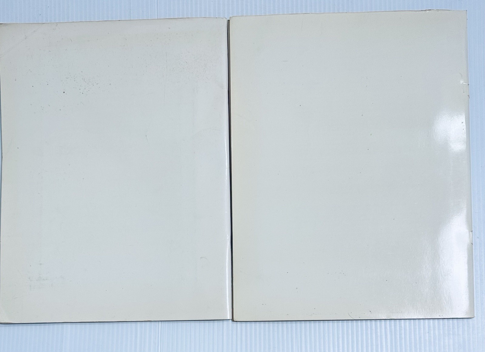 Library Great Painters Portfolio Edition Art Two Book Set Van Gogh Picasso