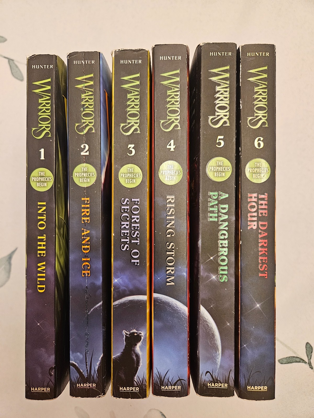 Set Of All 6 Erin Hunter Warriors Books 1st Series „The Prophecies Begin“