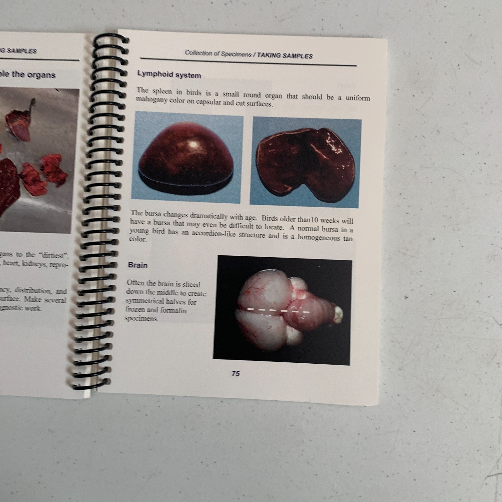A Field Manual For Collection Of Speciments To Enhance Diagnosis Of Animal Disea