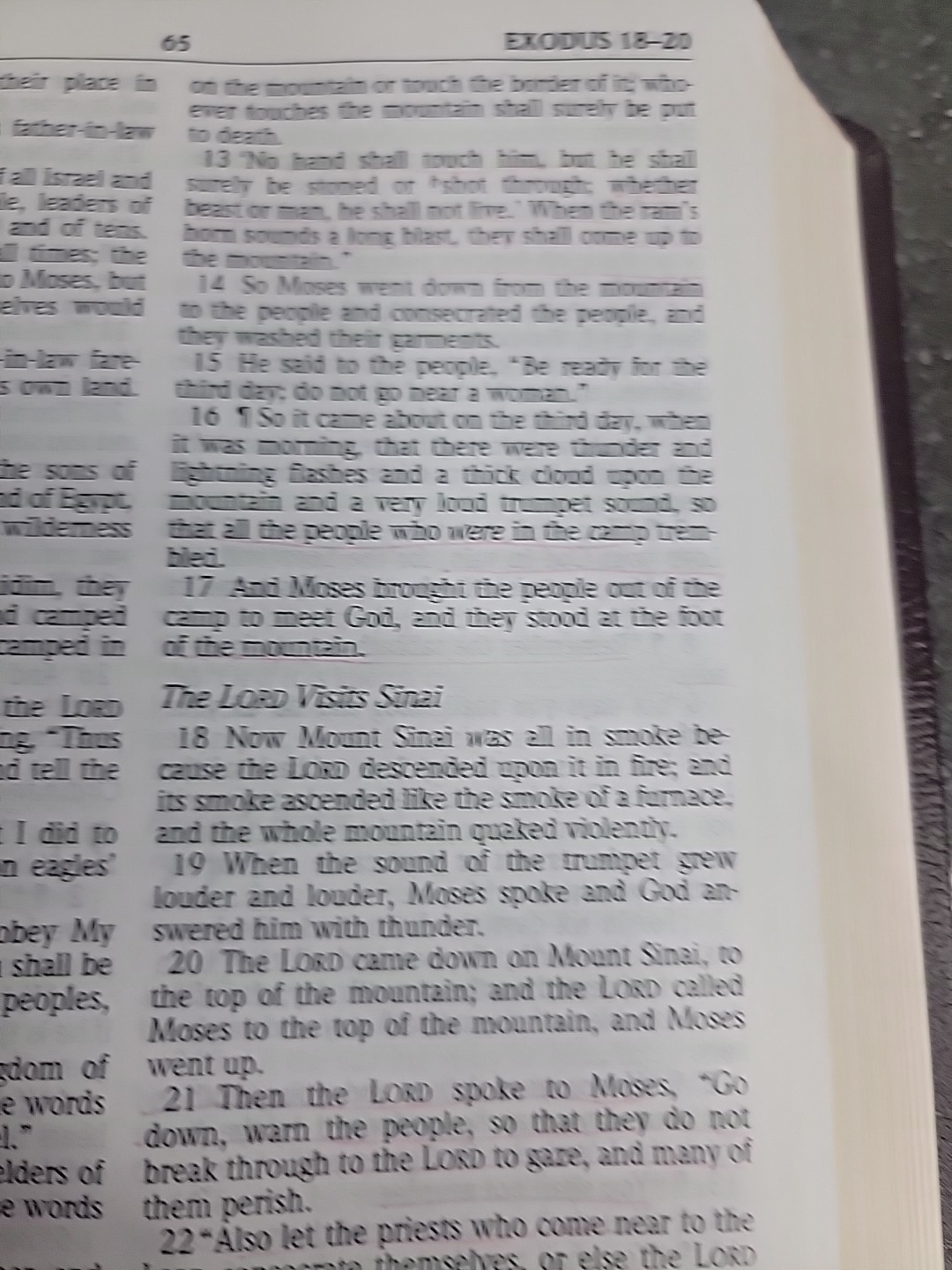 Nasb Thinline Bible by Zondervan Staff (1999, Bonded Leather)