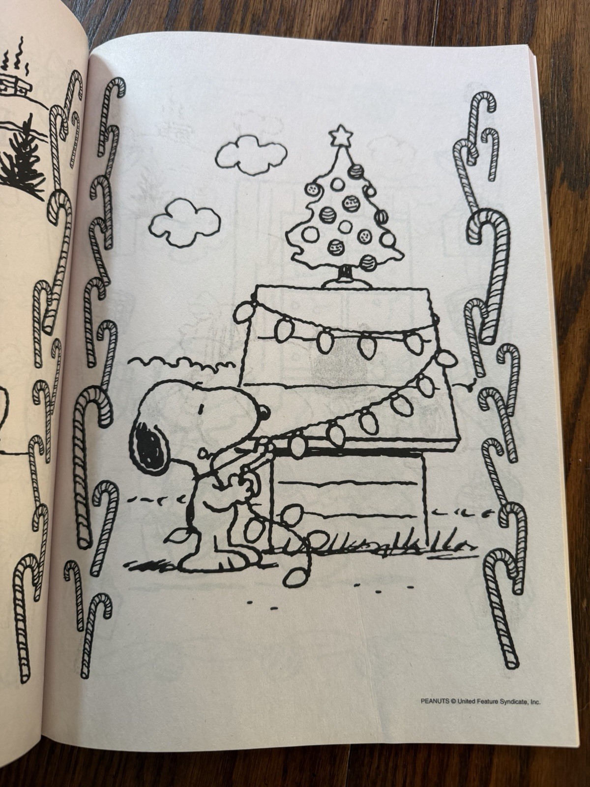 Peanuts Holiday Fun: Christmas Time is Here Super Book to Color