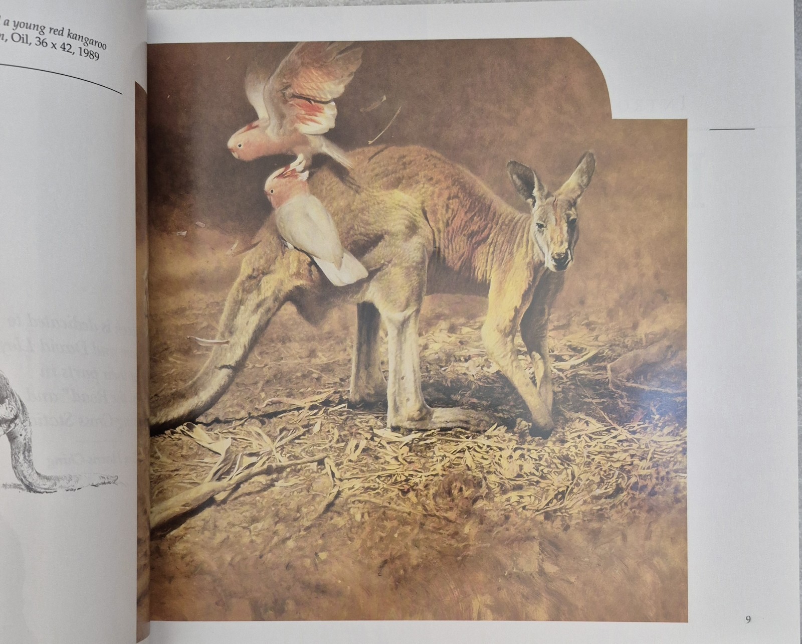 Ray Harris‑Ching • Masters of the Wild (1990 HC) • Wildlife Art