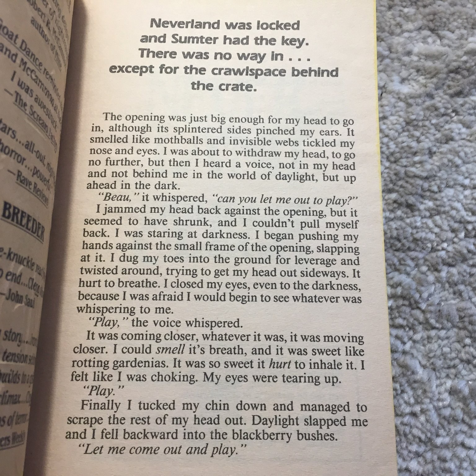 Neverland Douglas Clegg 1991 Pocket Books Coming Of Age Southern Gothic Horror