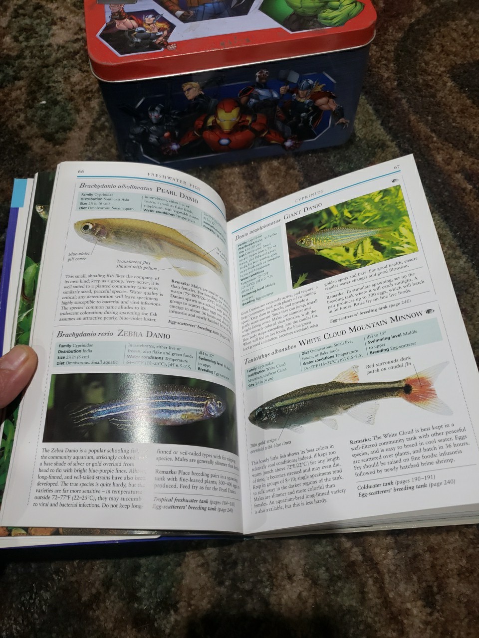 Aquarium Owner’s Manual by Gina Sanford (2003, Trade Paperback)