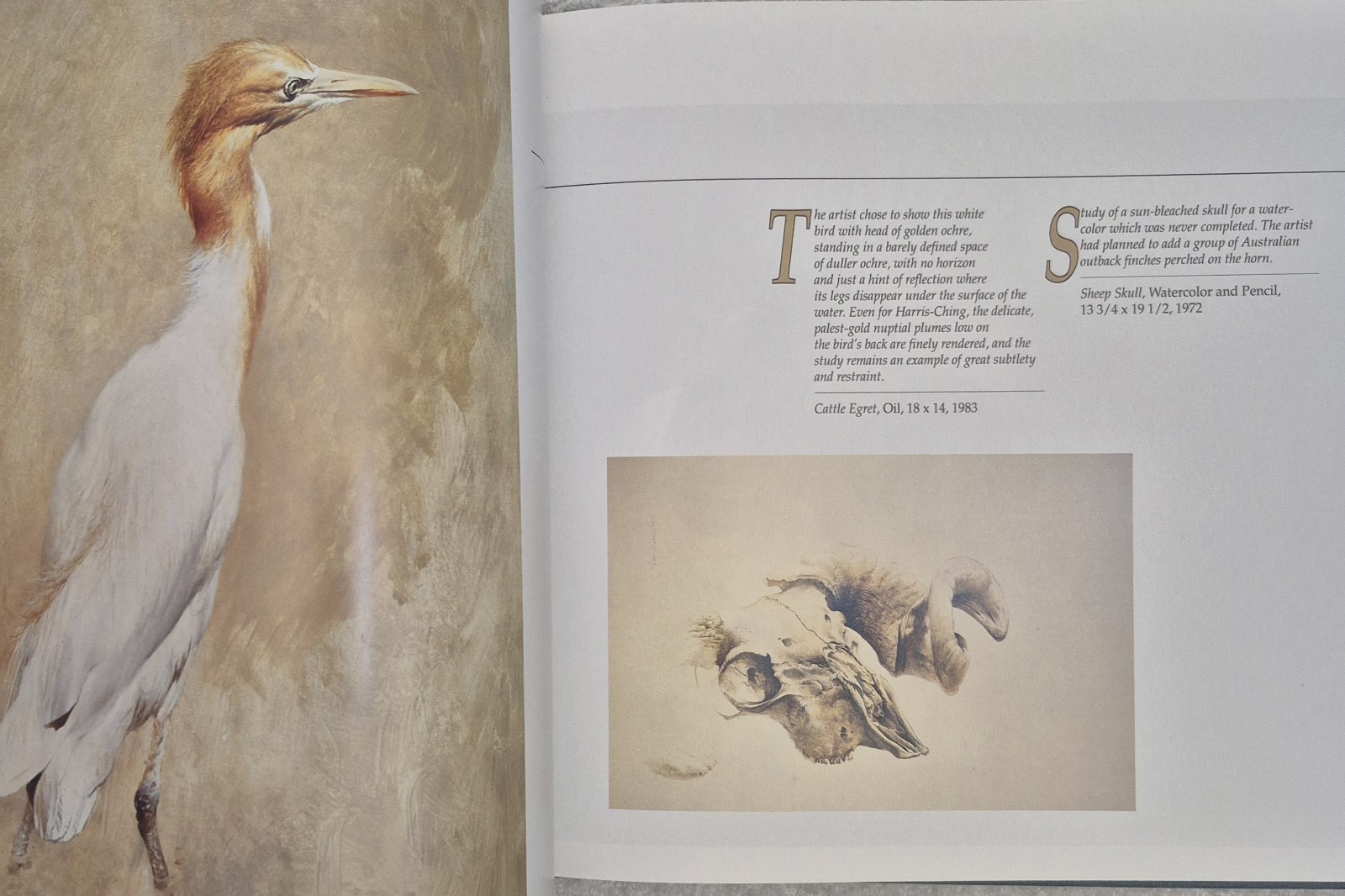 Ray Harris‑Ching • Masters of the Wild (1990 HC) • Wildlife Art