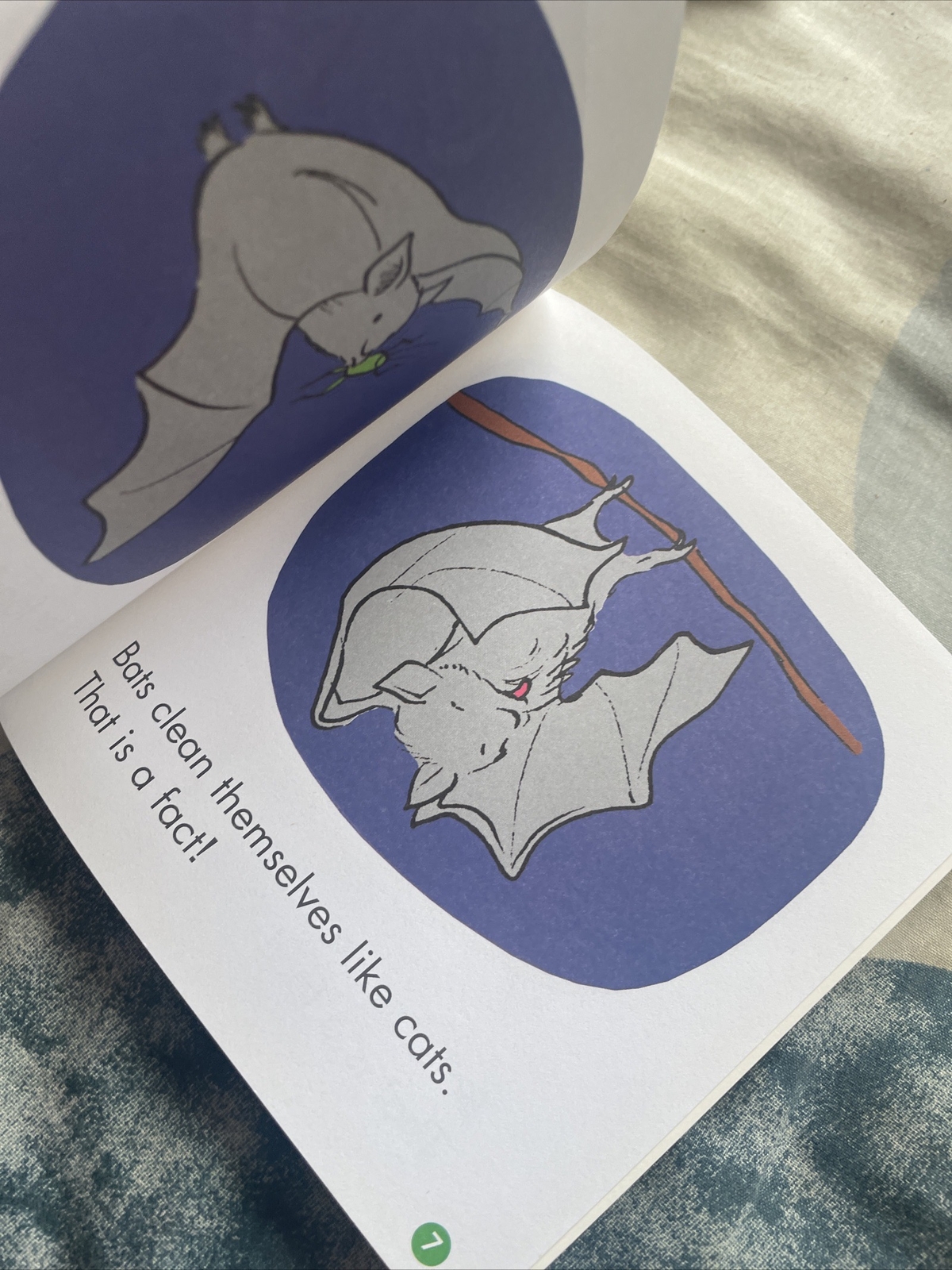 FIRST LITTLE READERS, LIZ CHARLESWORTH, BAT FACTS, 14 by 14CM