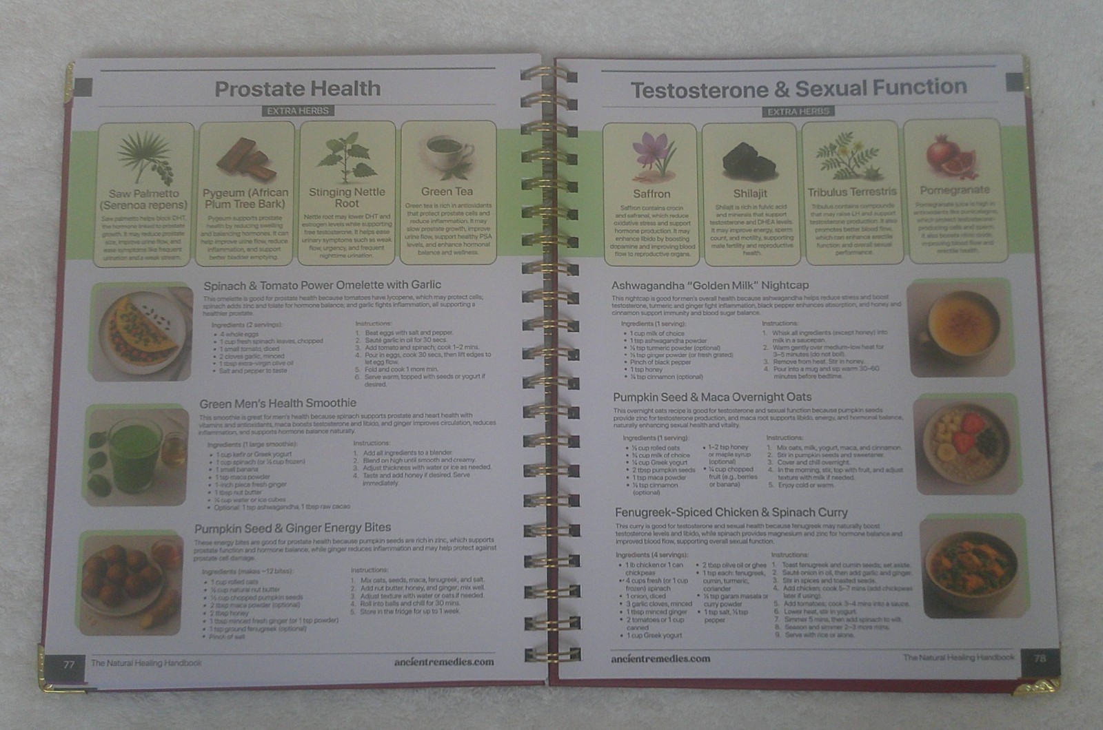 The Natural Healing Handbook by Ancient Remedies Press, Revised Edition