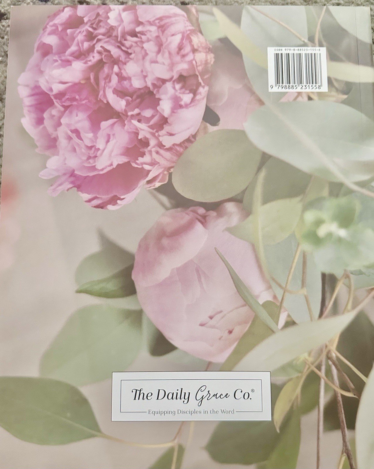 Daughters of Grace | Women of the Bible & the God of Grace The Daily Grace Co.