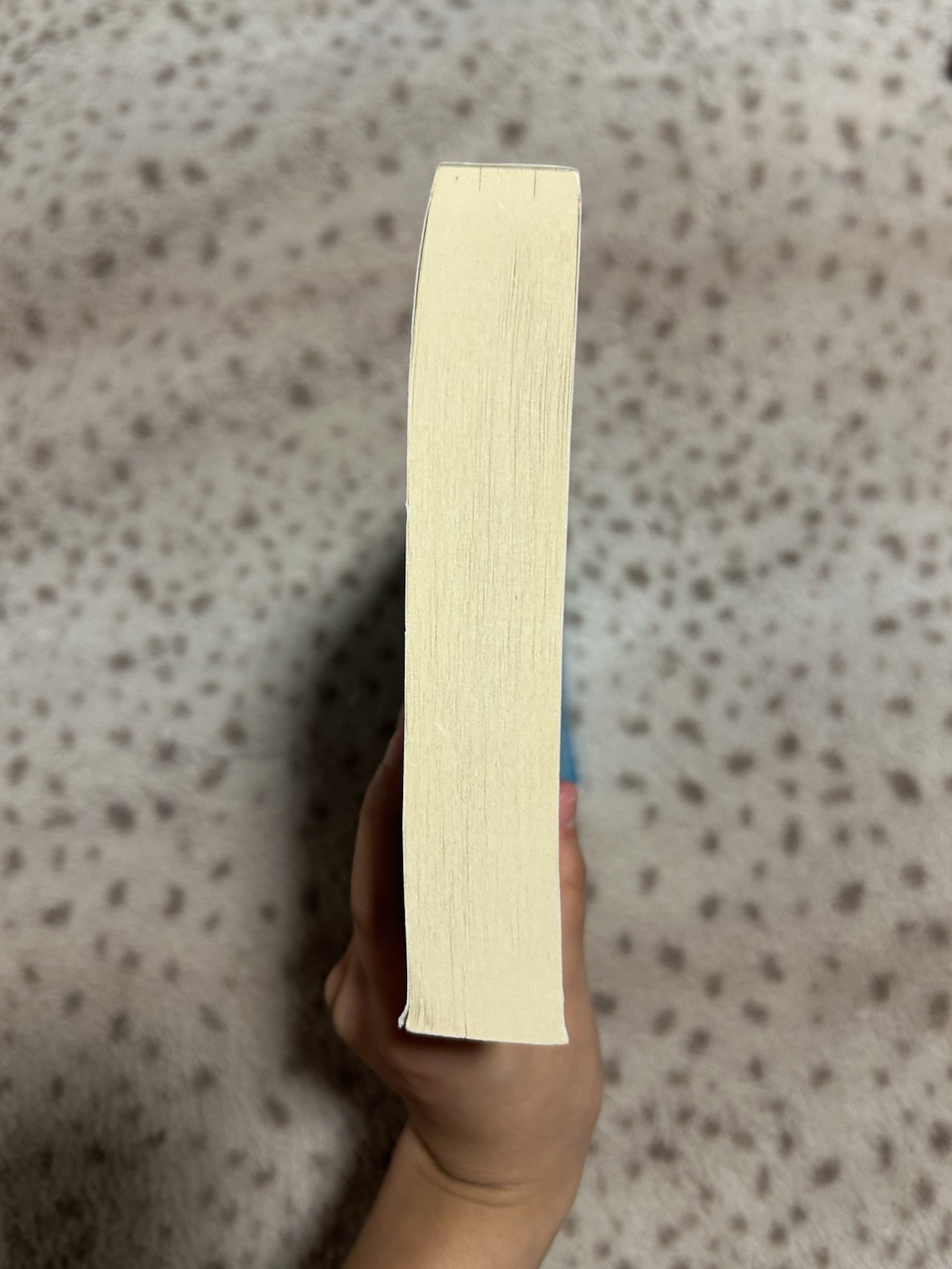 Malibu Rising By Jenkins Reid Taylor ARC / US Uncorrected Proof