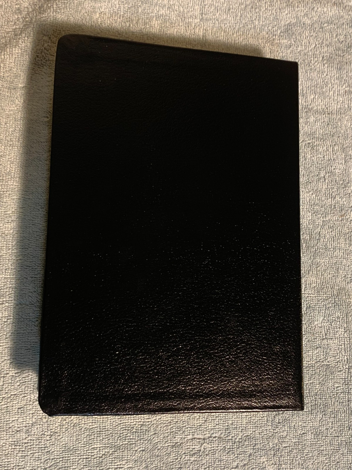 Concordia Self-Study Bible NIV Lutheran (Red Letter Ed.) Genuine Leather/Gilt