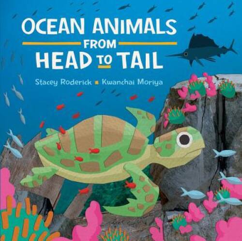 Ocean Animals from Head to Tail – Hardcover By Roderick, Stacey – GOOD