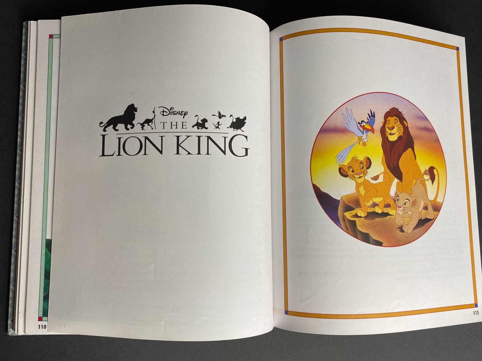 Disney Enchanted Tales Book 2005 301 Pages
