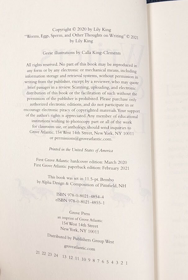 Writers & Lovers by Lily King: 1st. Edition, VG Condition, Paper Back