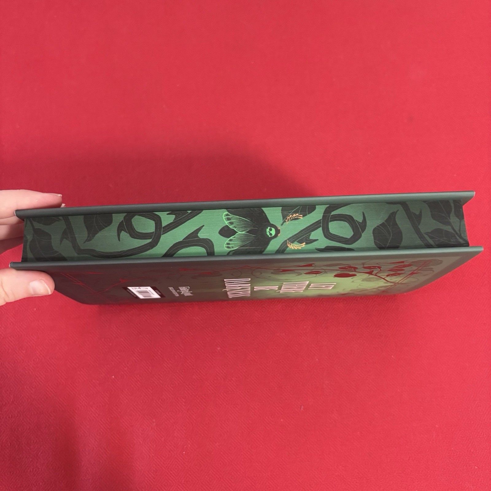 Seven Deadly Thorns – Amber Hamilton – Fairyloot Special Edition