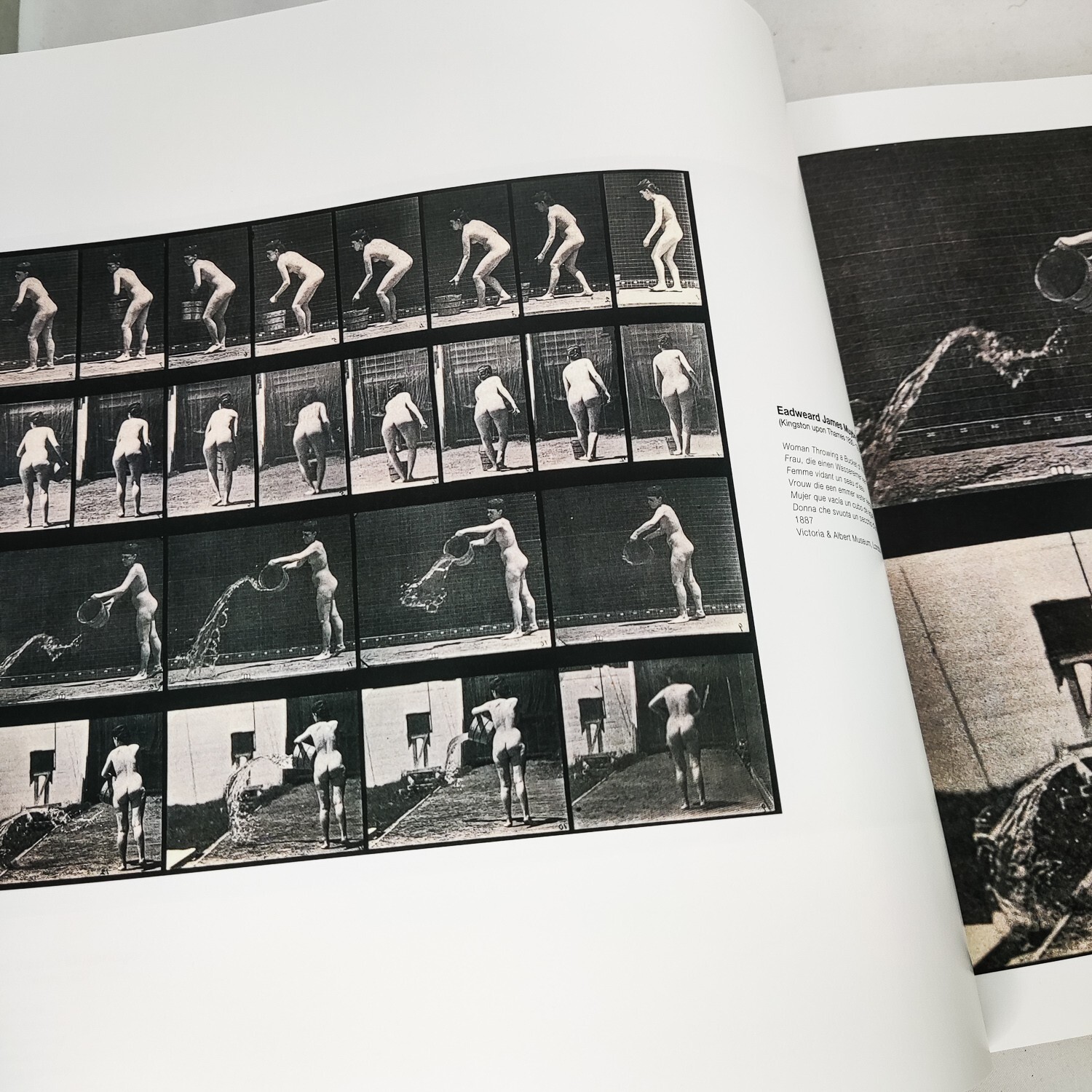 THE STORY OF NUDE PHOTOGRAPHY – HARDCOVER BOOK | SCALA GROUP 504 PAGES