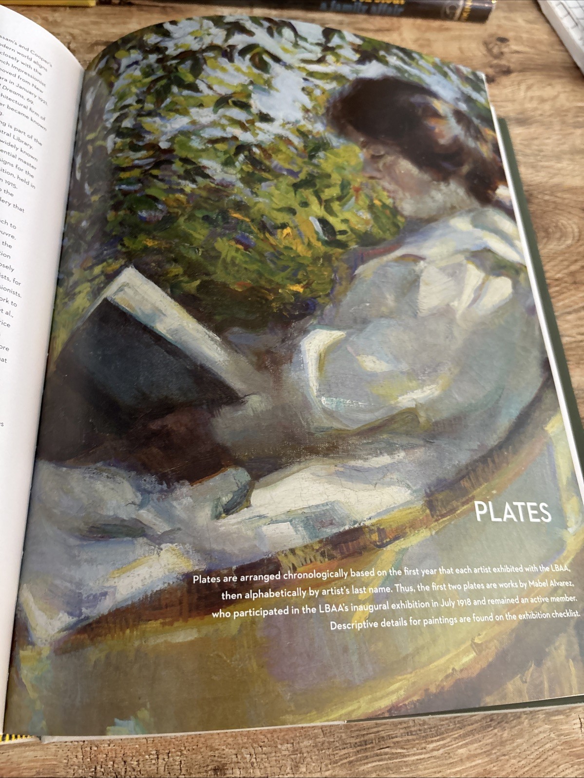 Art Colony : The Laguna Beach Art Association, 1918-1935