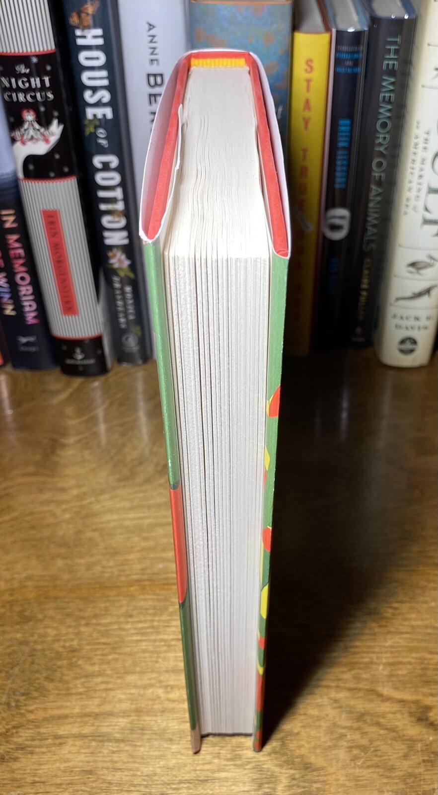 *SIGNED* Maame by Jessica George Debut Novel 1st Edition/ 1st Printing 2023 HCDJ