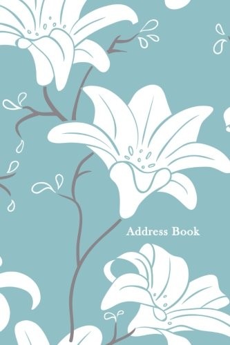 ADDRESS BOOK: LARGE PRINT (6 X 9 INCHES) BLUE By I. S. Anderson **BRAND NEW**