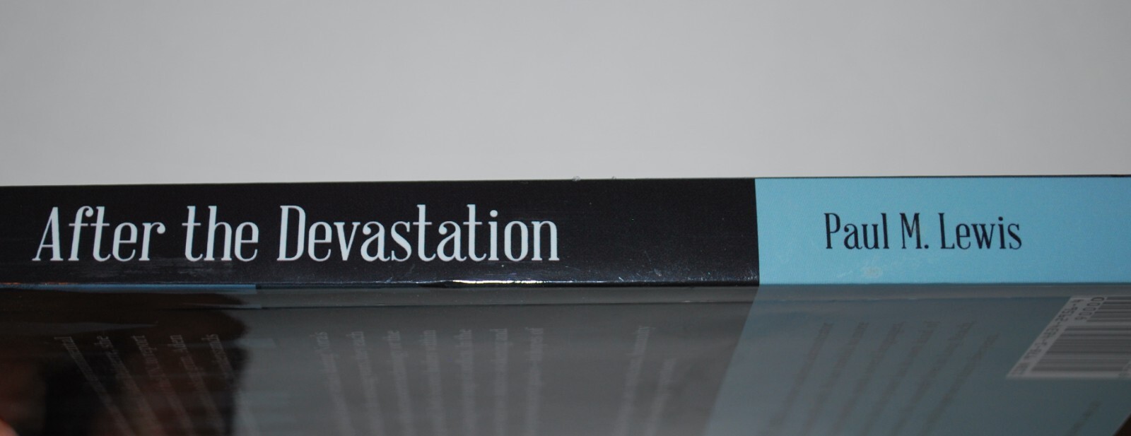 AFTER THE DEVASTATION by Paul M. Lewis – 328 pages Paperback – Very Good