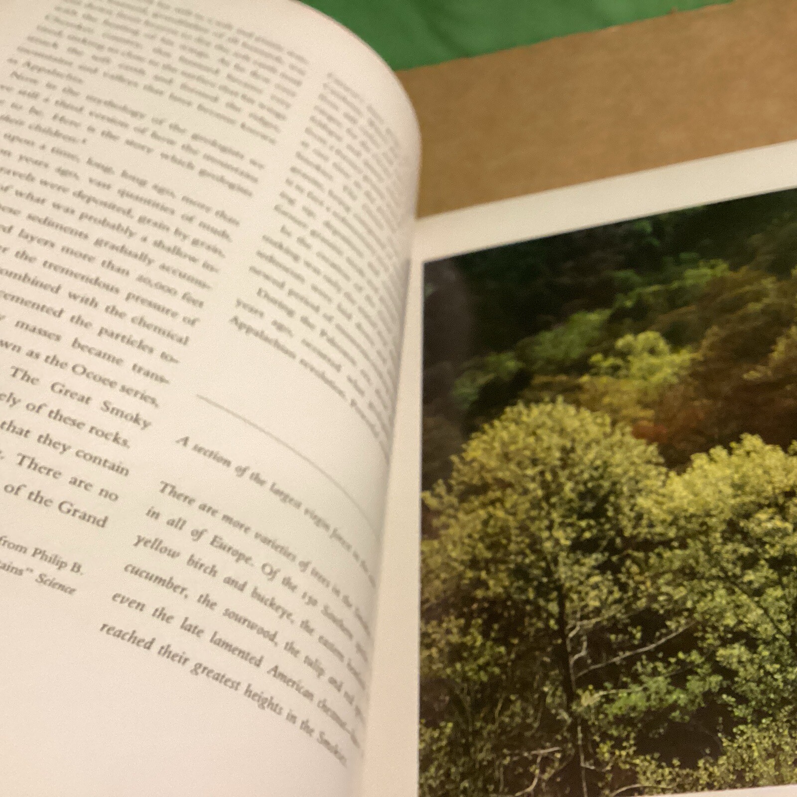 Appalachian Wilderness by Eliot Porter & Edward Abbey (Hardcover)