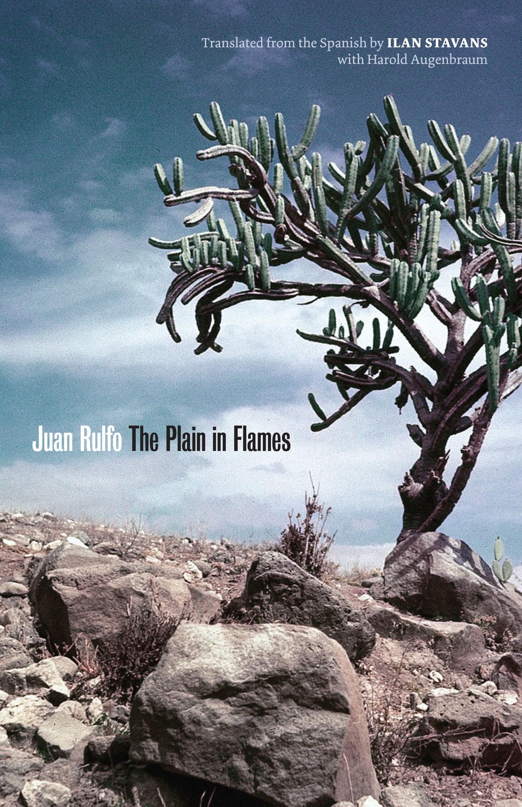 The Plain in Flames (Joe R. and Teresa Lozano Long Series in Latin American …