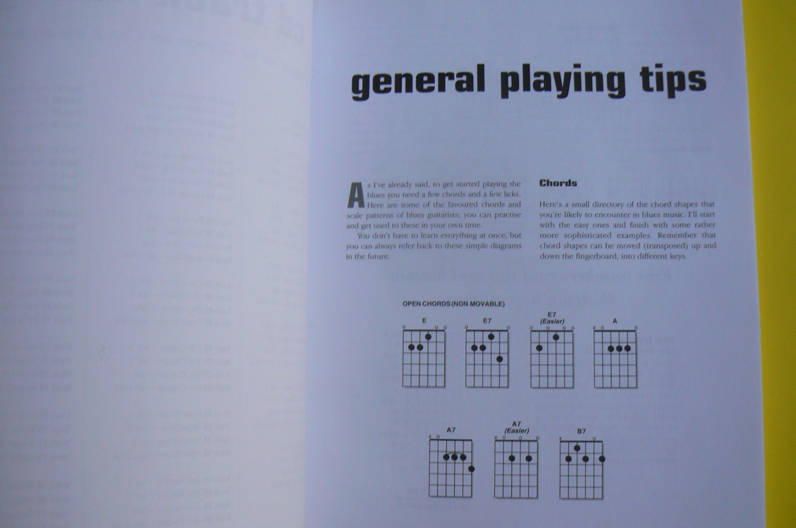 Giants of Blues,Guitar,Neville Marten,Book only, 120-pages, Johnson to Clapton