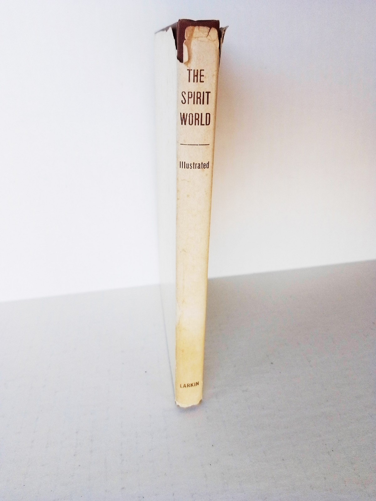 The Spirit World (Illustrated) by Clarence Larkin, Vintage Hardcover 1921