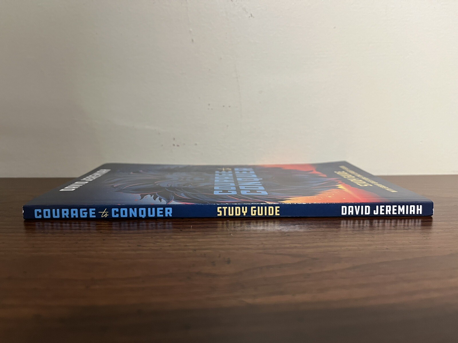 David Jeremiah Study Guide „COURAGE to CONQUER“ Brand New Paperback ~Rare~