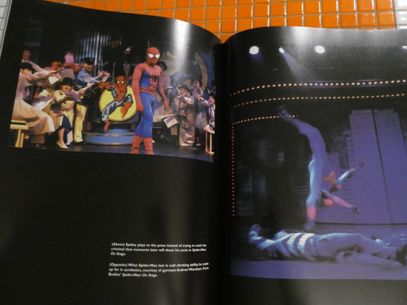 MARVEL THE CHARACTERS AND THEIR UNIVERSE H/C ILLUSTRATED 288 PAGES M. MALLORY
