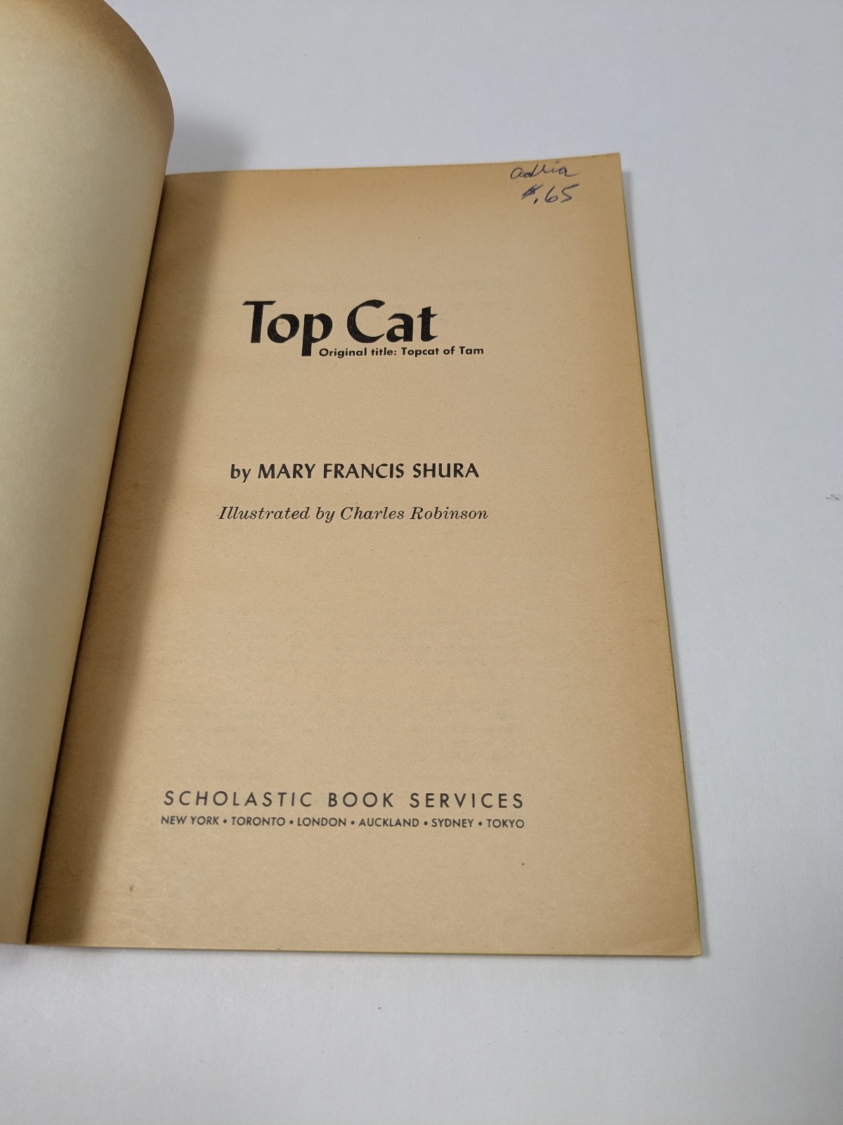 Top Cat by Mary Francis Shura Vintage Paperback Book Children’s Illustrated
