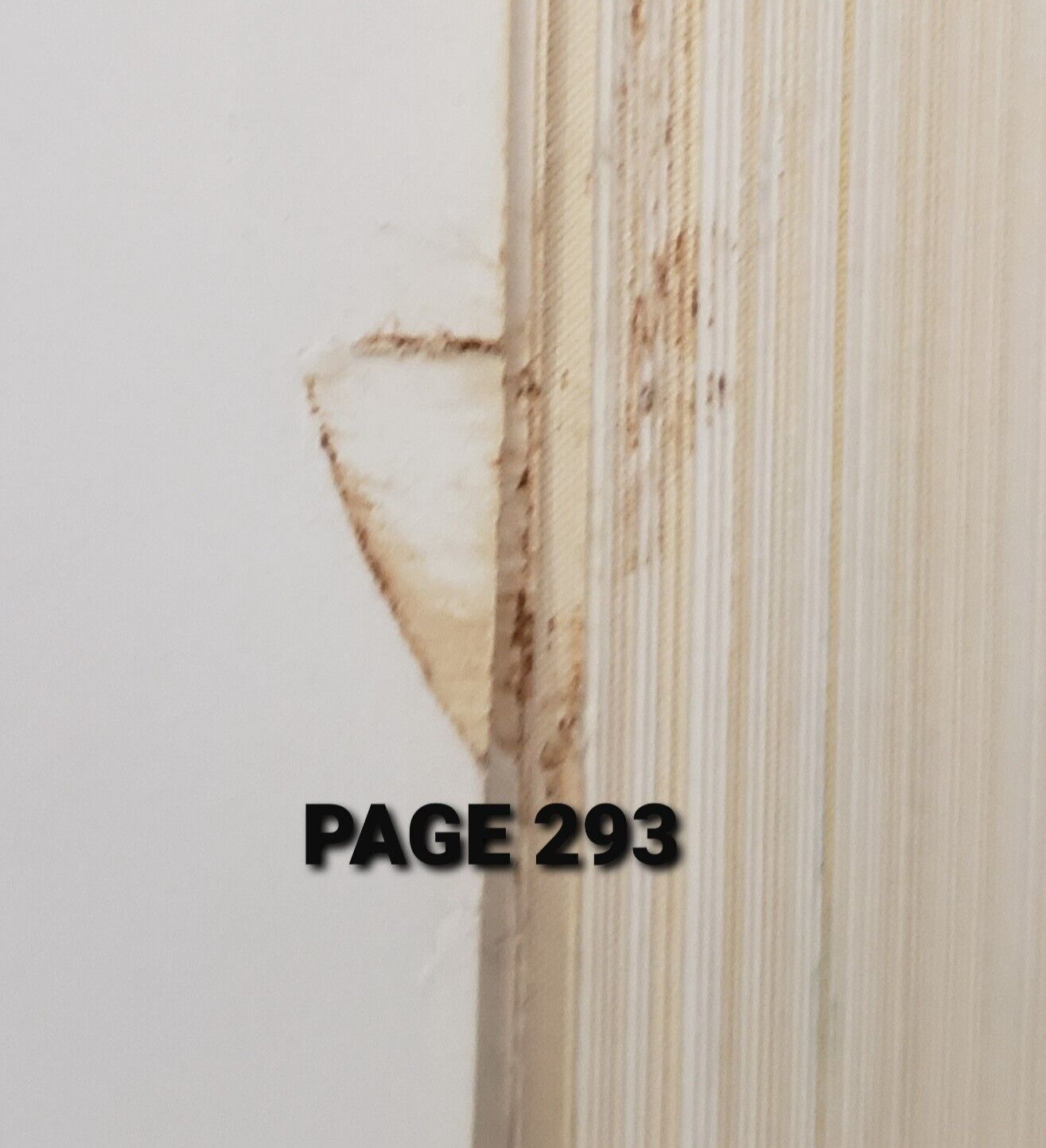 The Complete Book Of Woodworking 480 Colorful Pages & 40 Fabulous Projects