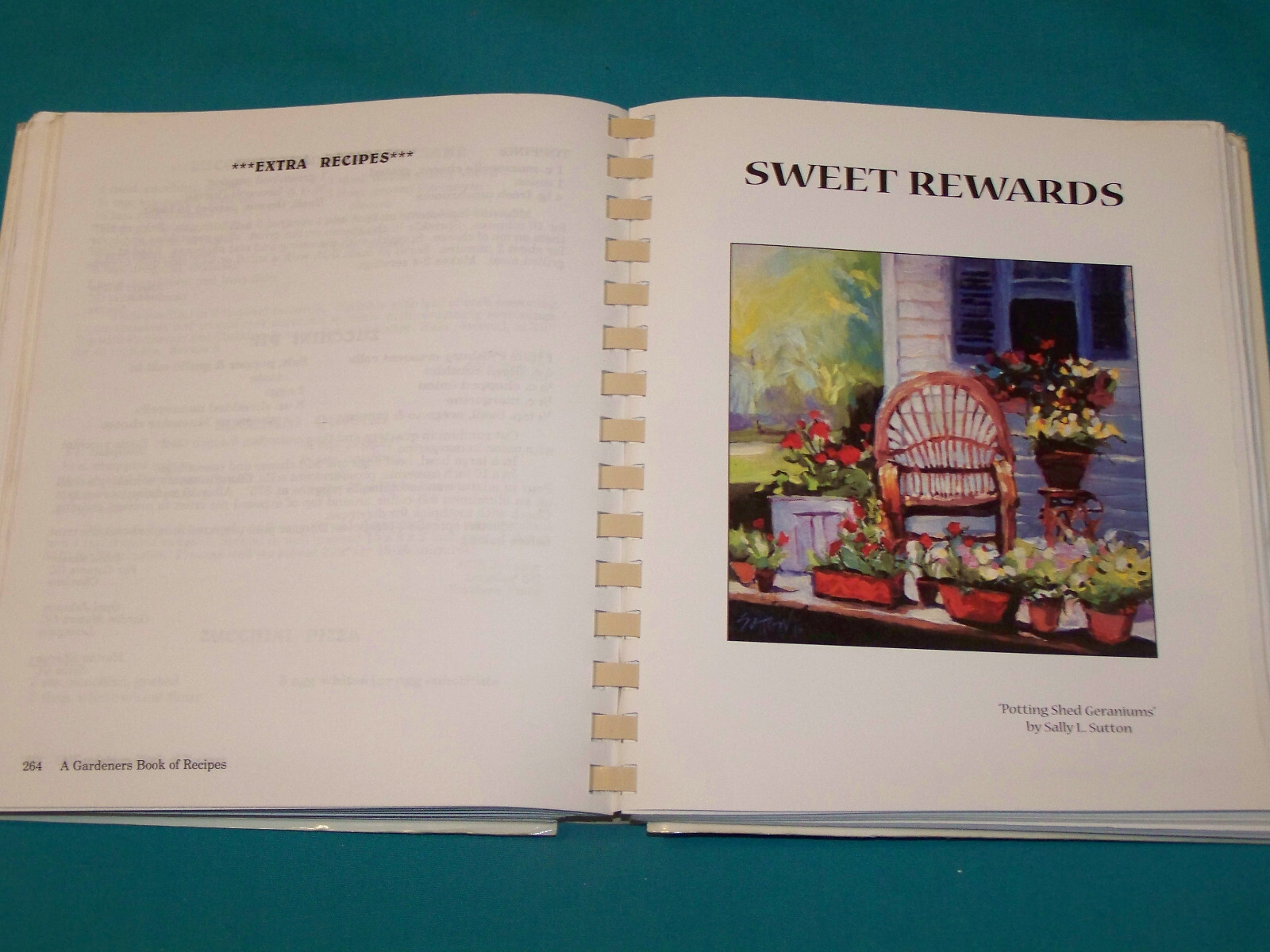 Garden Club of NC Cookbook Illustrated SIGNED by SALLY SUTTON artist 432 pages
