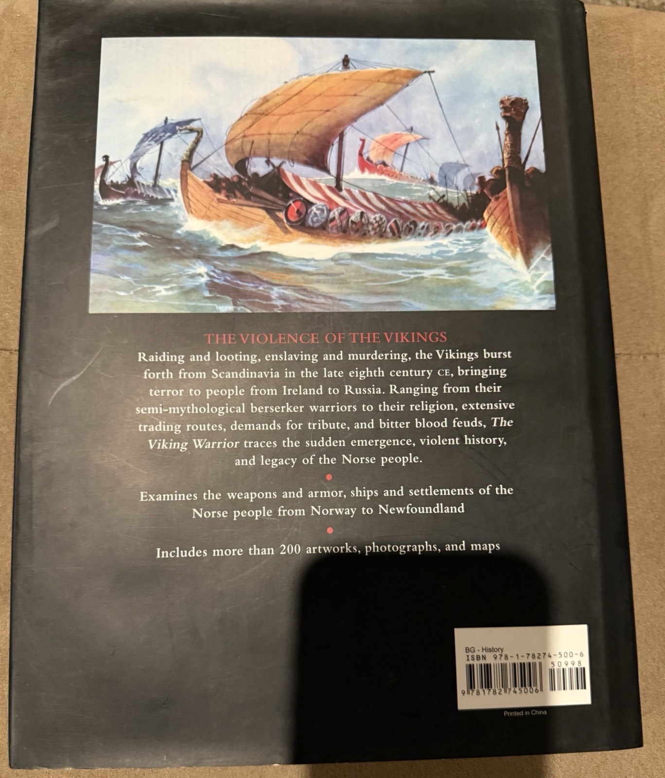 The Viking Warrior Hardcover 224 Pages by Ben Hubbard VG+