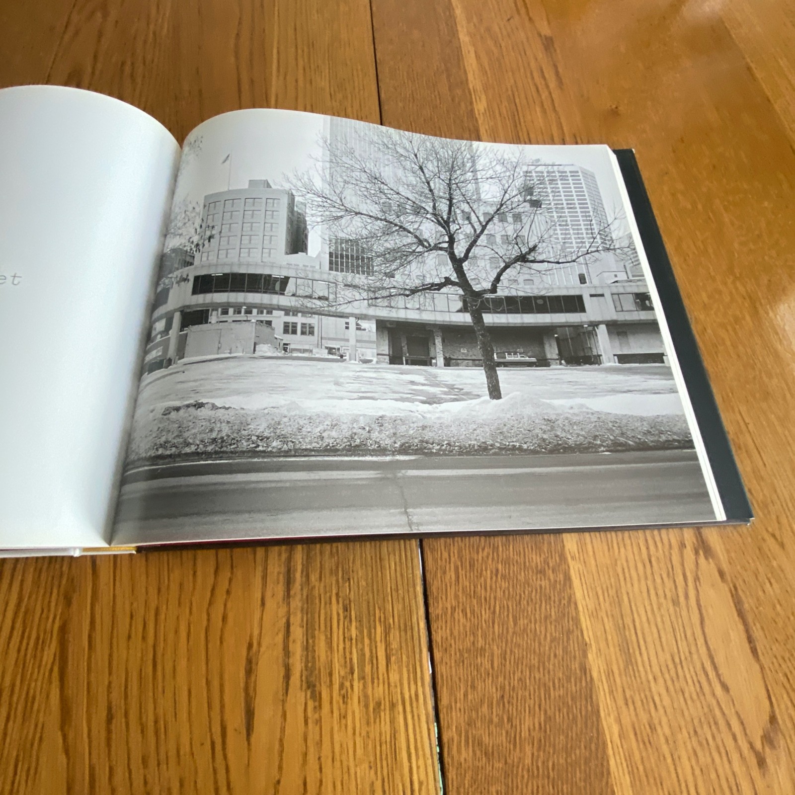 Catherine Opie: American Photographer Hardcover 2008