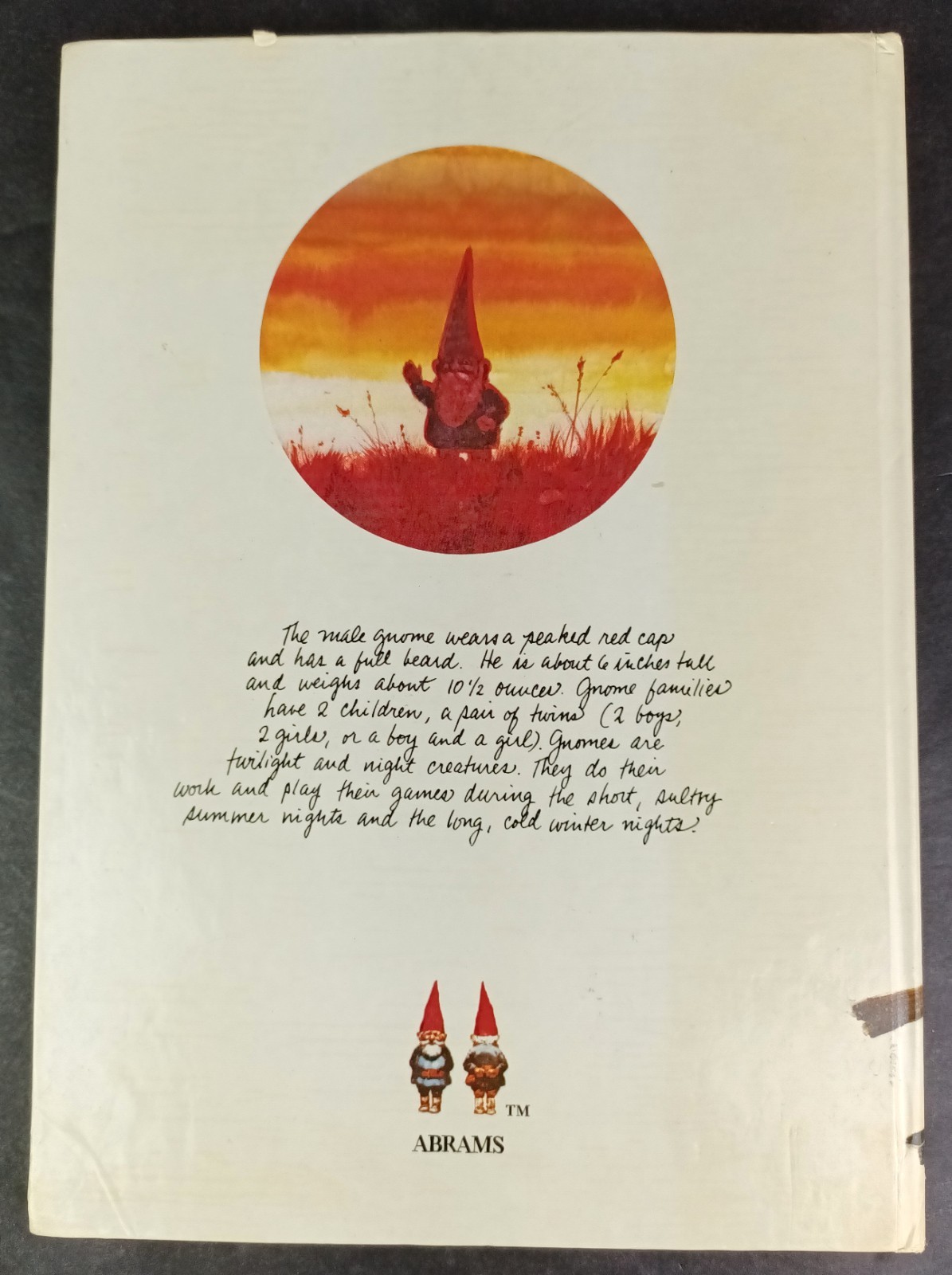 The Pop-Up Book of Gnomes ©1979 Vintage Abrams English Translation Cottagecore