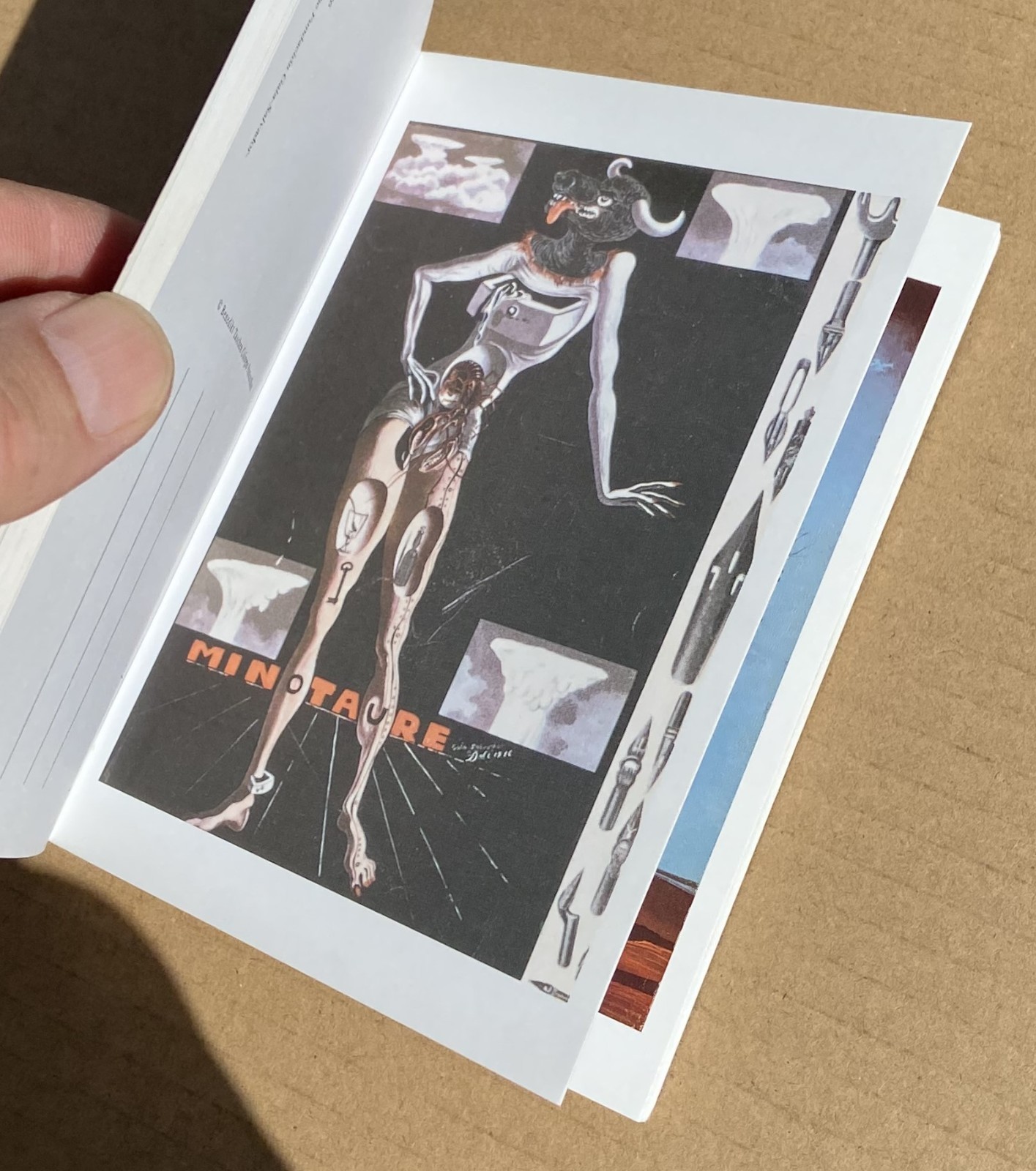 SALVADOR DALI 30 Postcards Postcard Booklet Book